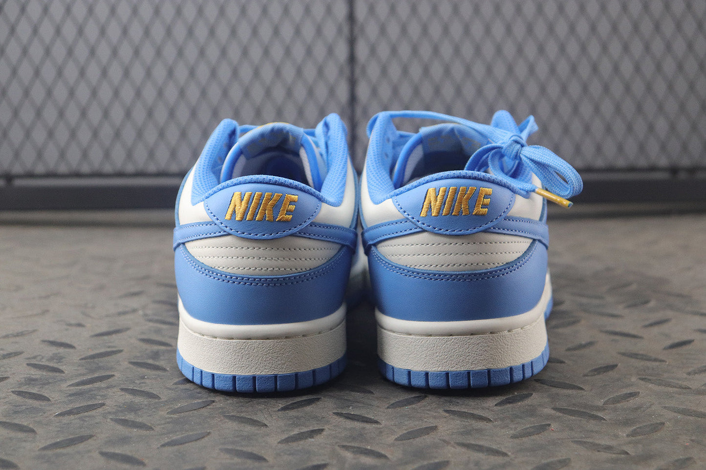 Nike Dunk Low Blue